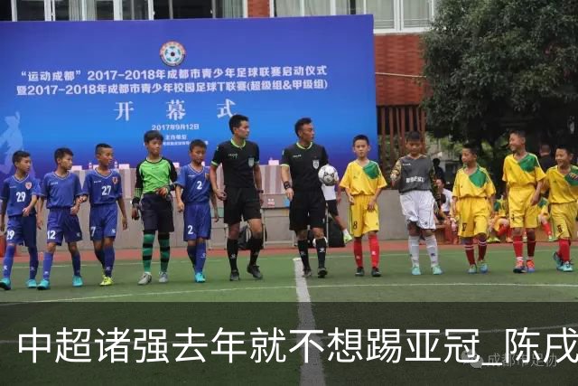 中超诸强去年就不想踢亚冠 陈戌源称不去后果严重