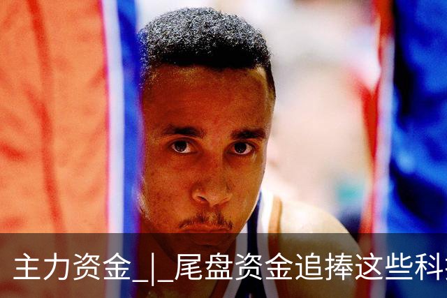 主力资金 | 尾盘资金追捧这些科技股