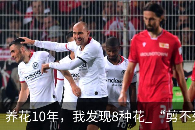 养花10年，我发现8种花 “剪不死”反而会越长越旺，比施肥都管用