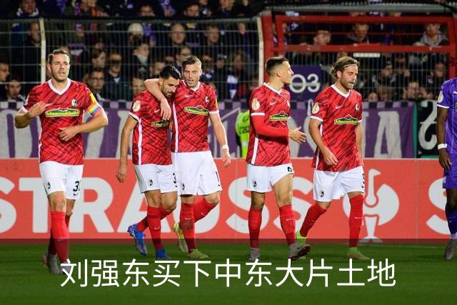 刘强东买下中东大片土地