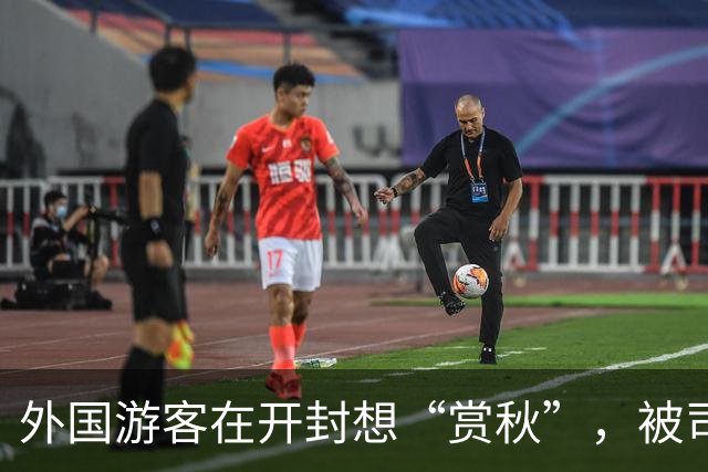 外国游客在开封想“赏秋”，被司机一脚油门拉到商丘