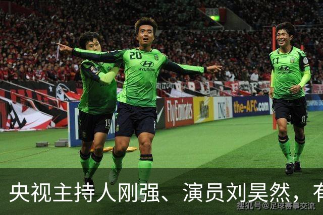 央视主持人刚强、演员刘昊然，有新身份