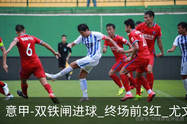 意甲-双铁闸进球 终场前3红 尤文2球落后2-2战平