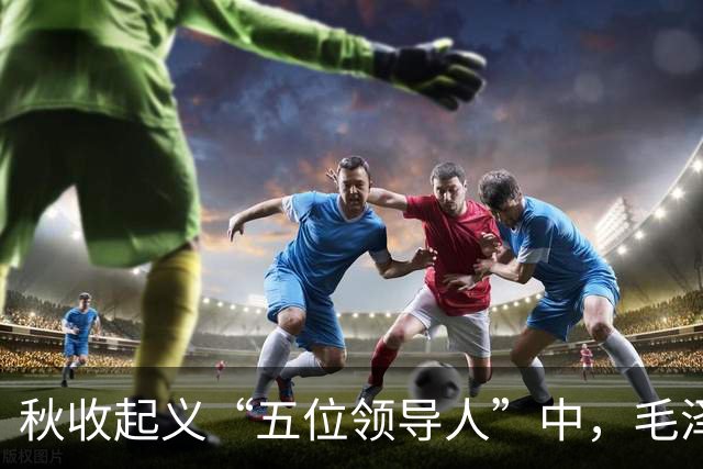 秋收起义“五位领导人”中，毛泽东后来当选国家主席，另外四人的一生经历与最终结局究竟如何？