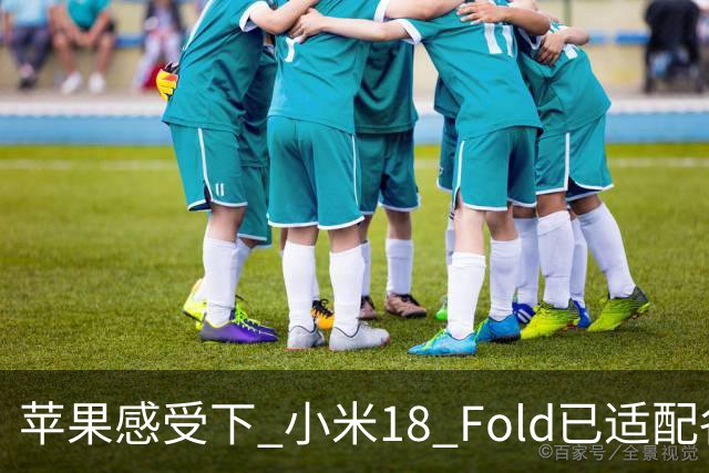 苹果感受下 小米18 Fold已适配各类应用 网友：这波宣发恰到好处