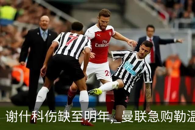 谢什科伤缺至明年, 曼联急购勒温补锋线