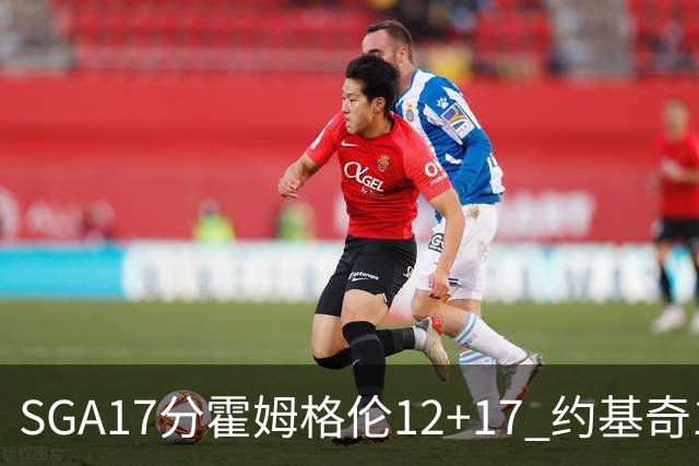 SGA17分霍姆格伦12+17 约基奇13+7+5雷霆擒掘金2连胜
